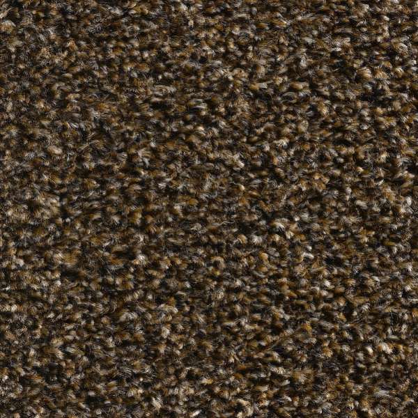 Image #0