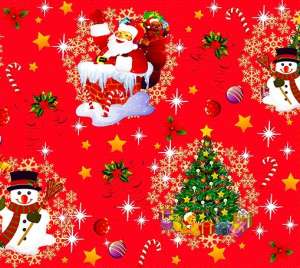 NSA25 NEW YEAR rouge