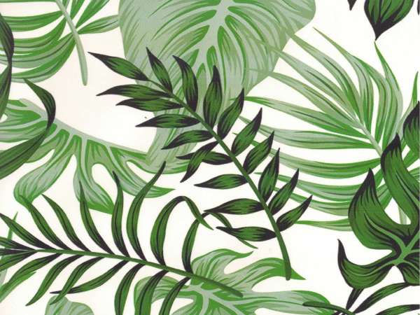 Image #0